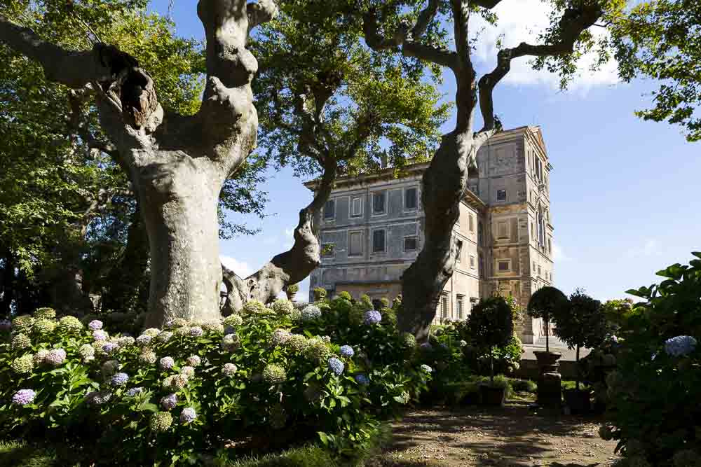 Gardens Villa Aldobrandini. Frascati. Italy.