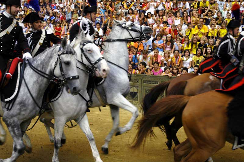 Horse race preparation for the Palio di Siena characteristic horse race in Siena Tuscany